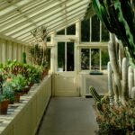 Conservatory Roof