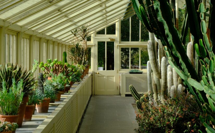 How to Choose a Conservatory Roof Company You Can Trust
