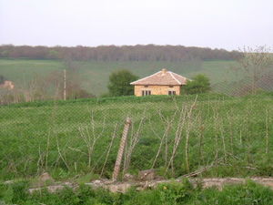 Small house with vast plot of land situated 70 km from sea