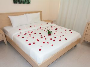 furnished one bedroom in Salmiya behind Holiday INN  KWD 350