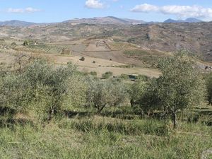 Land in Sicily - Albanese Cda Pipituna