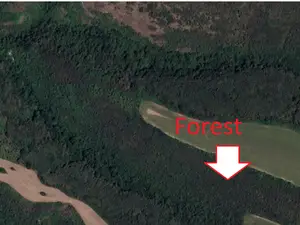 Sell  Forest with Business and Living opportunities.
