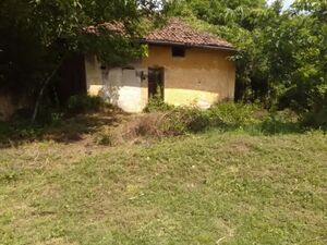 An old house with 1300 sq m of land. Near to forests, lovely