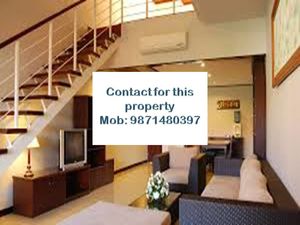 all type flats for rent in chattarpur please call me 