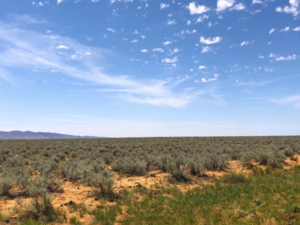 Land 10890 sqft in Los Lunas, New Mexico 