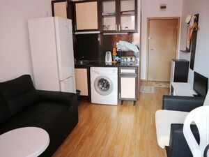 Stylish furnished studio apartment in Sunny Day 6