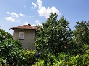 Large 4/5 bedrooms house for sale in Burya (Gabrovo)