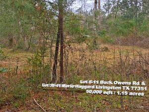 2 Adjoining Lots for your Dream Home in Livingston, TX 