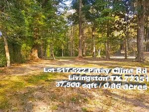 Unrestricted Lot for sale by owner in Livingston, TX 