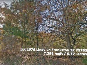 The Perfect Piece of Land for You in Frankston, TX 