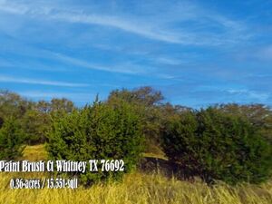 Rare opportunity to own a private lot in White Bluff