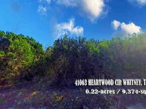 Great Investment for Vacant Land on Lake Whitney, TX. 