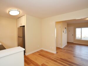 Large junior 1 bedroom in San Francisco's Monthly rent $2000