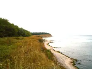  Bulgaria Property Finder (Velikovo 35 km to the sea 700 sqm