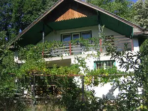 Villa with plot of land located in a forest near big city