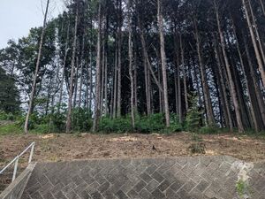 Rare Land in Historic Samurai Town – Hot Spring Area
