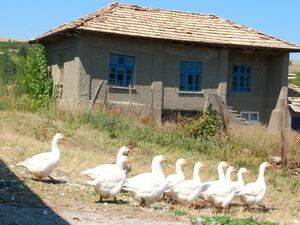 Jewel House For Sale In Konak Near Popovo And Veliko Tarnovo