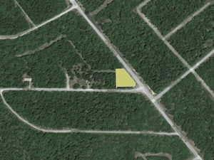 Escape City Chaos– Embrace Nature and Create Your Dream Life