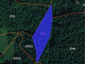 I am selling 7 hectares of land in Gornji Milanovac-Trudelj