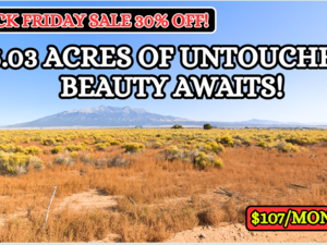 Black Friday: 30% OFF Own 5.03 Acres for $107/Mo!