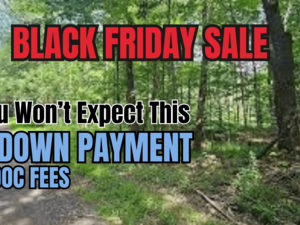 Black Friday Sale - Buy your Rare 0.24-Acre Retirement Lot F