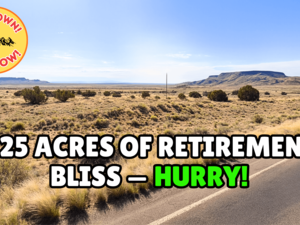 Buy 1.25 Acres in Arizona for Just $47 Down Payment! 