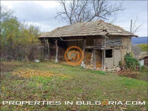 Two Neighboring Plots Of Building Land, Sadina Village