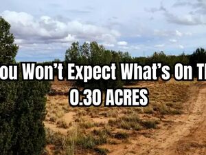 Your slice of peace, space, freedom is in Putnam County FL