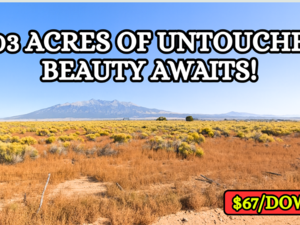 Own 5.03 Acres for $107/Mo!