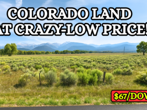 Buy 2.53 Acres in Costilla Cheap!