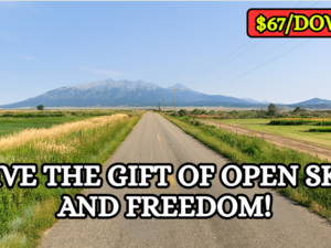 Gift Land This Christmas for $107/Mo!