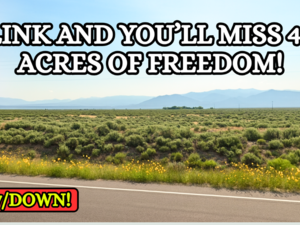 4.91 Acres in CO for $107/Mo!