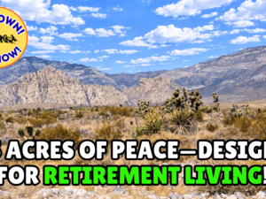 Just $47/Down! Own Your 1.25 Acre Retirement Land Right Now