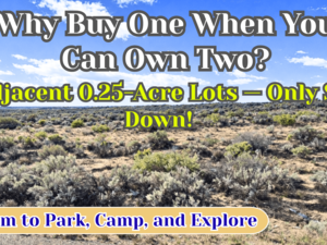 Get Your 2 Side-by-Side 0.25 Acre Lots For Just $47/Down