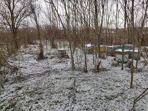 Regulated plot of land for sale in the village of Chernozem,