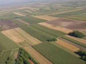 Land for sale Novaci-Ub