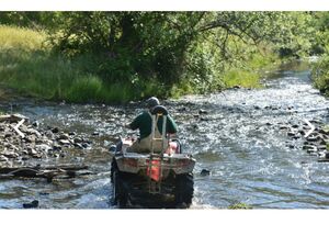 For sale farm lot and poultry farm business in Australia 