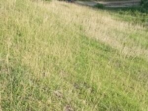 Beach lot in Bohol, Philippines 