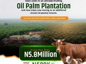 Palm Rich Estate Phase 5