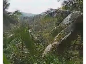 Farm lot in sarangani 