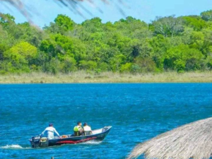 1,297-hectare property - San Pedro - Paraguay