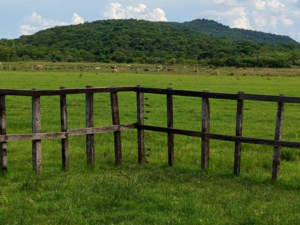 110 hectares, Santa María, Misiones, Paraguay
