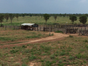 farm of 11,263 has. northern Chaco Paraguay
