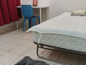 Palm spring female unit single room for rent kota damansara