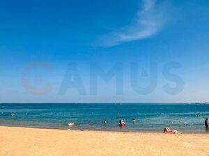CAMUS 462, PRINCESS RESORT – 2 Bedroom Brivate Beach