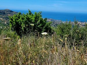 sh 868, land plot, Termini Imerese, Sicily