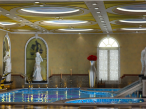 Unfinished spa centre and fitness project or other business 