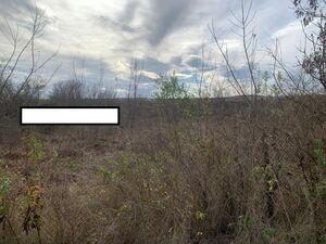Nice Small plot in Ovchi Kladenets. (Yambol) Pay Monthly