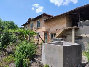 Cheap rural Bulgarian house big garden 3120m2 Danube river