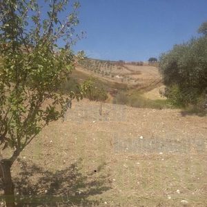 Land in Sicily - Vaccaro Cda Quarto Rocchi